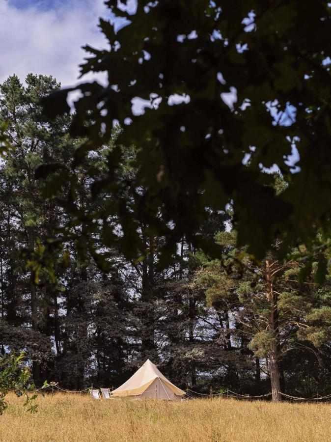 A Leira 116 Cabanas De Diseno ซาร์เรีย ภายนอก รูปภาพ